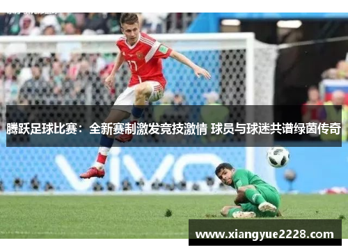腾跃足球比赛：全新赛制激发竞技激情 球员与球迷共谱绿茵传奇